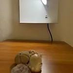 펜션 Leonardo *