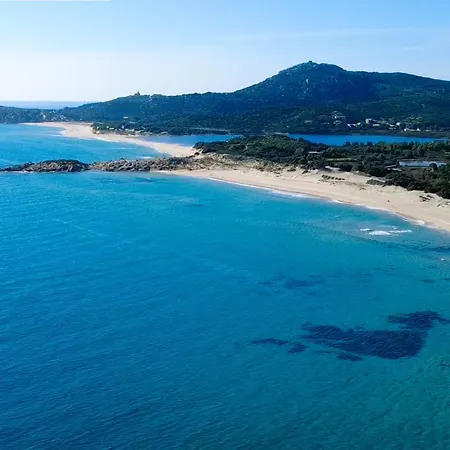Leonardo