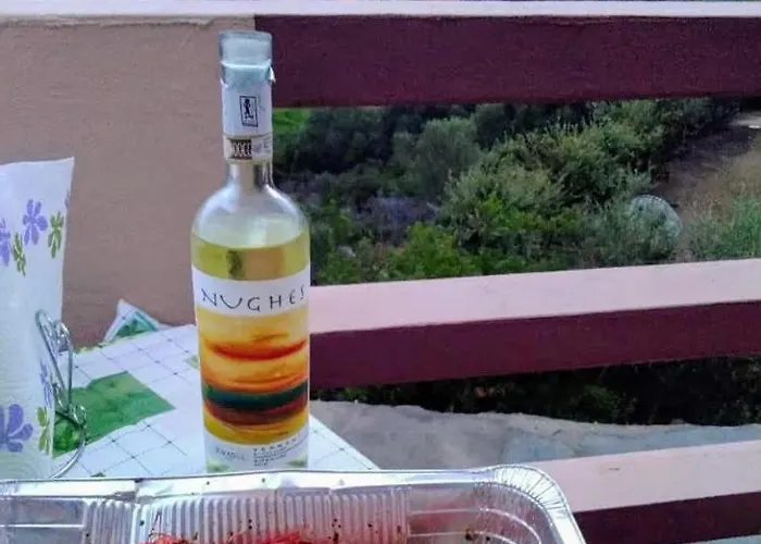 Leonardo Сasa de vacaciones *